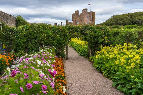 A path leads through the colourful plants and hedges of the walled garden to reach the Castle of Mey
