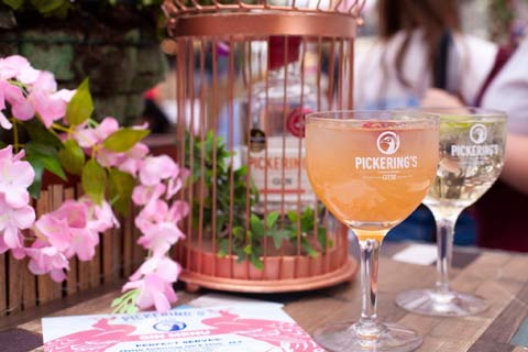 Two glasses of Pickerings gin being served at Summerhall Distillery visitor centre