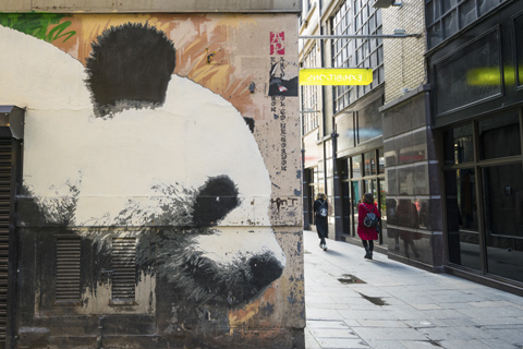 The head of a Giant Panda is painted on the corner of a building
