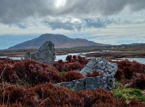 Heather surrounds the ancient stones of Pobull Fhinn on North Uist