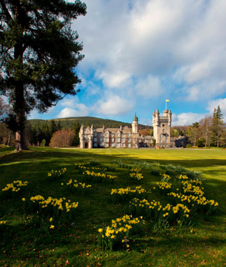 Balmoral Castle - large grand turreted castle in background, yellow flowers and grass in foreground