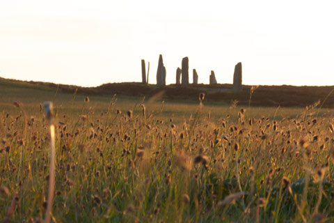 Ring of Brodgar - stone circle seen from a distance through long grass