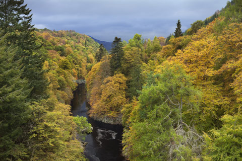 river in Highland Perthshire with lush forest on either side
