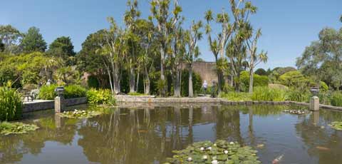 Exotic plants flourishing at the Logan Botanical Gardens