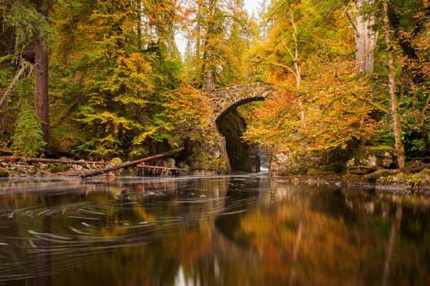 Autumn colours at The Hermitage in Perthshire