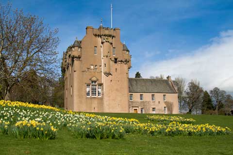 Daffodils bloomimg outside Crathes Castle