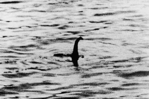The famous black and white Surgeon's photograph showing the head and neck of the Loch Ness Monster