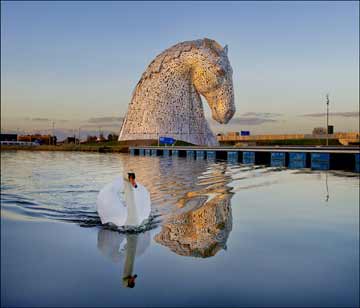 The Kelpies are reflected in the canal as a swan swims by