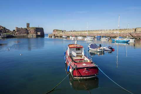 The ruins of Dunbar Castle overlooking the harbour