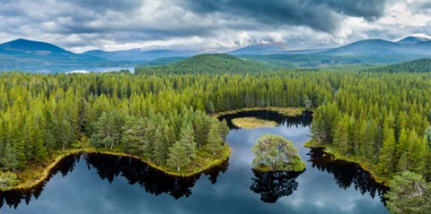 Loch Morlich