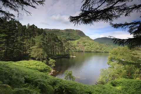 Glen Trool, Galloway Forest Park