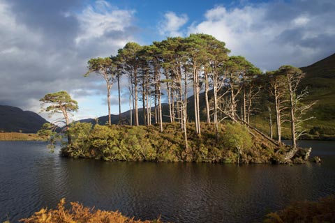 Eilean na Moine on Loch Eilt