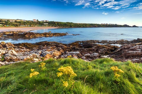 Coldingham Bay