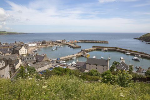 overlooking the houses and harbour of Stonehaven with boats and yachts in the water