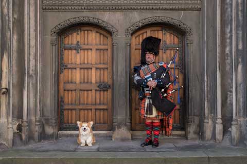A piper in full Highland dress with a little dog beside him