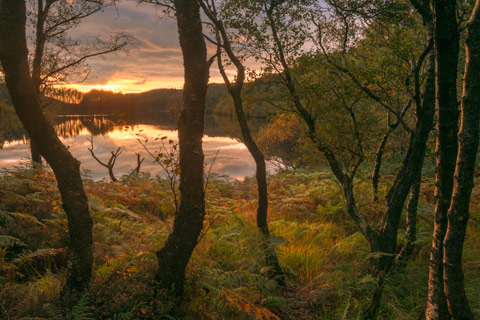 A loch in Dumfries and Galloway seen through trees at dusk