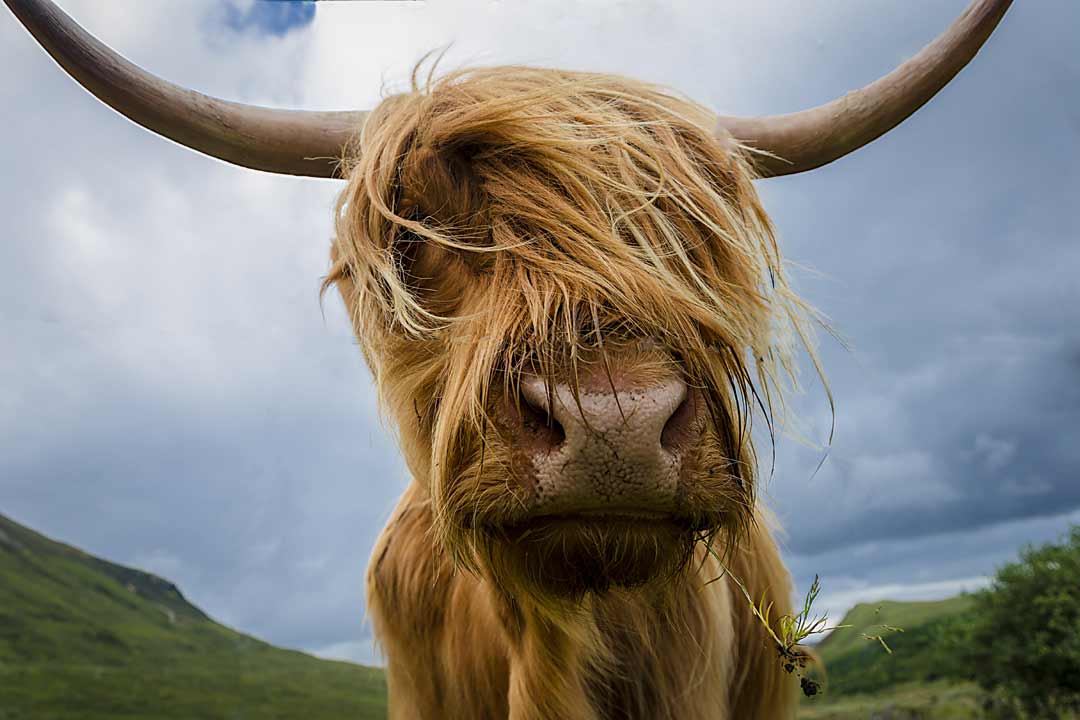 Loch Ness and the Highlands