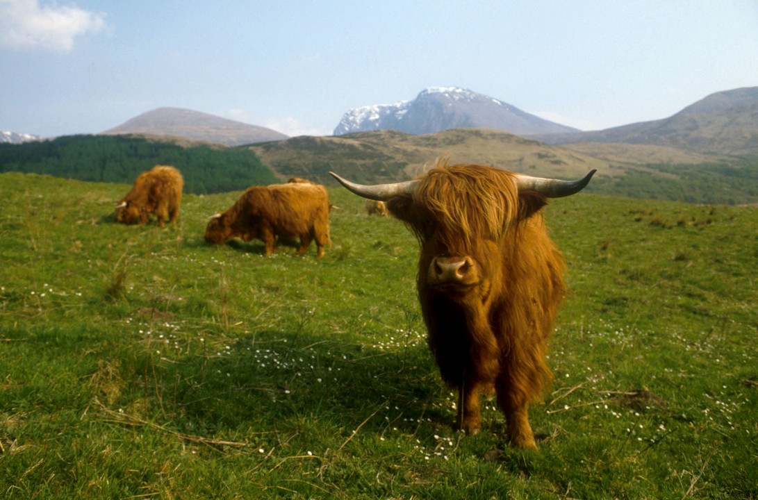 Ben Nevis