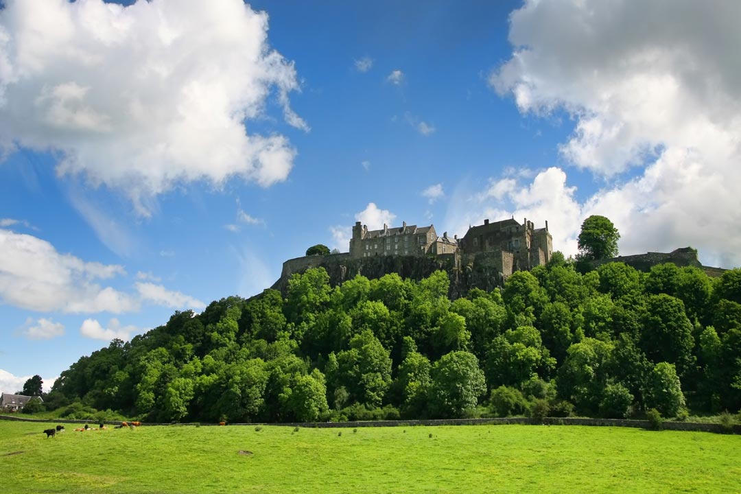 Loch Lomond, The Highlands and Stirling Castle with local pick-up