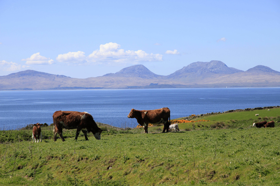Paps of Jura