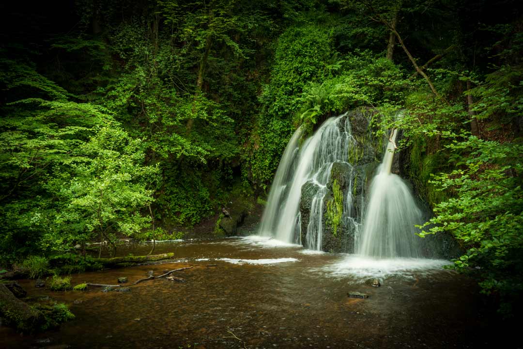 Fairy Glen