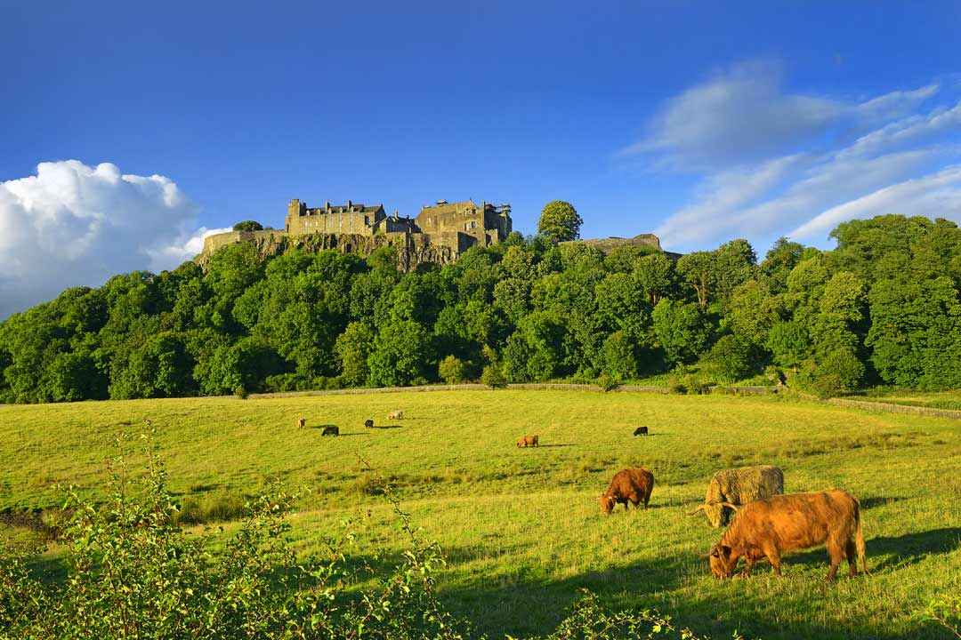 Loch Lomond, The Trossachs and Stirling Castle Private Tour