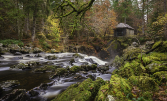 Whisky and Waterfalls