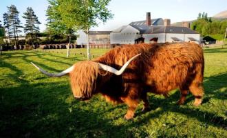 scottish-highland-escape
